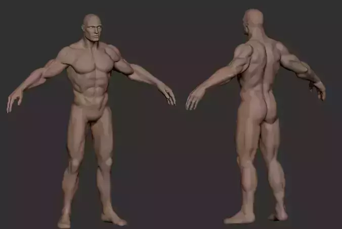 Basemesh Male Body  comics style zbrush