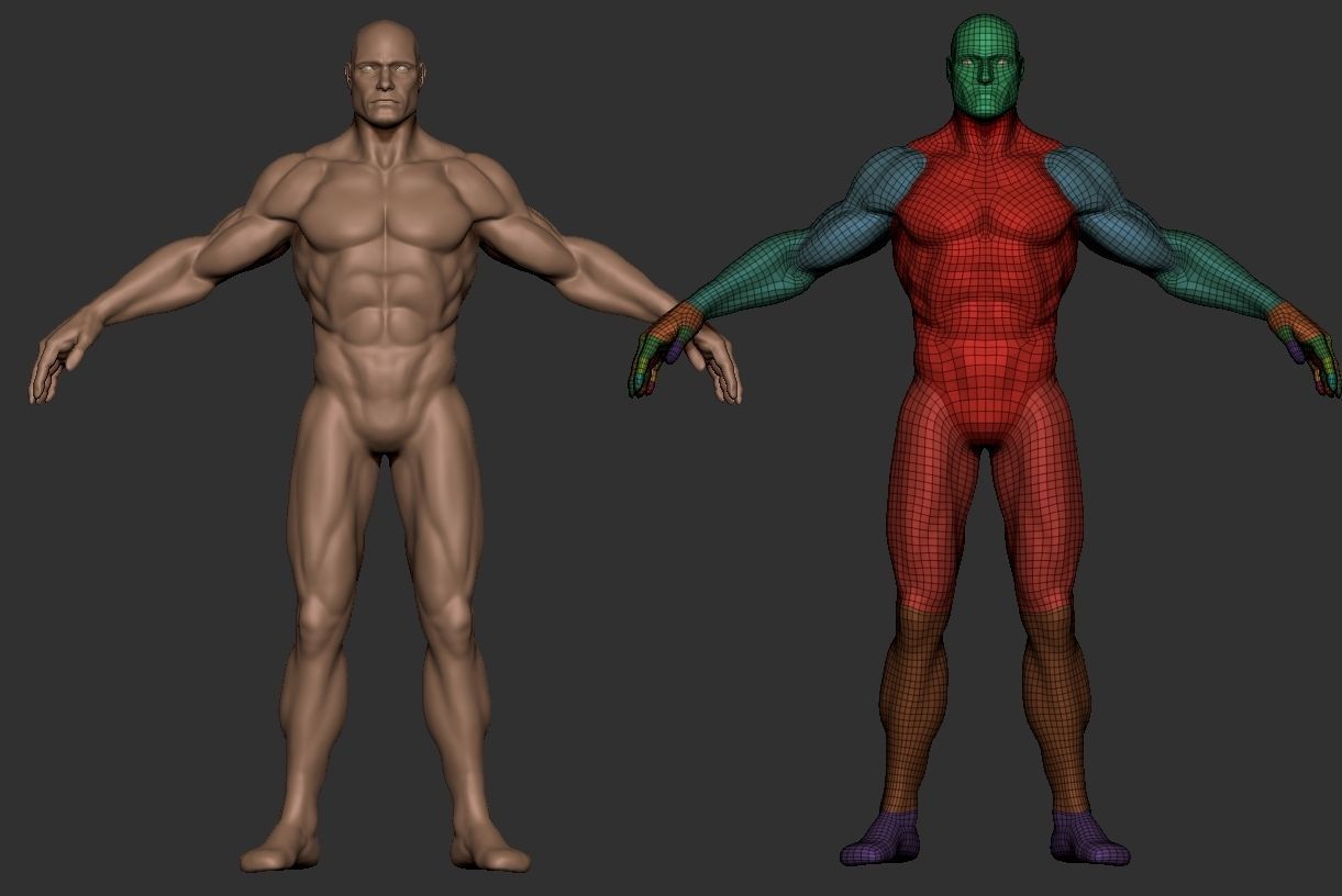 Basemesh Male Body  comics style zbrush 3D model_4