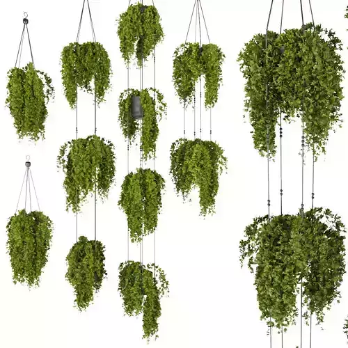 Collection plant vol 342 - bush - hanging - cinema 4d - 3dmax