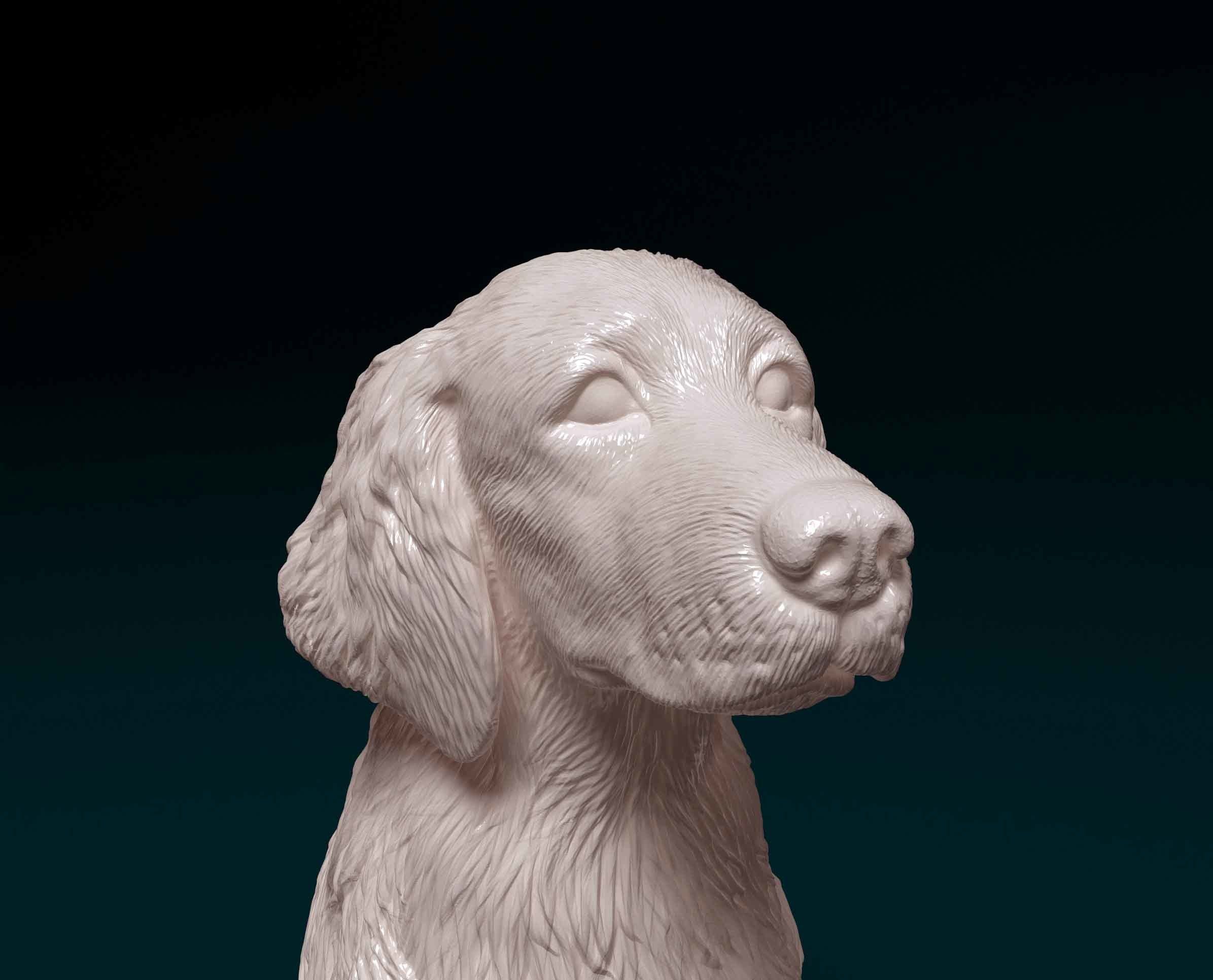 Welsh Springer spaniel 3D print model_7