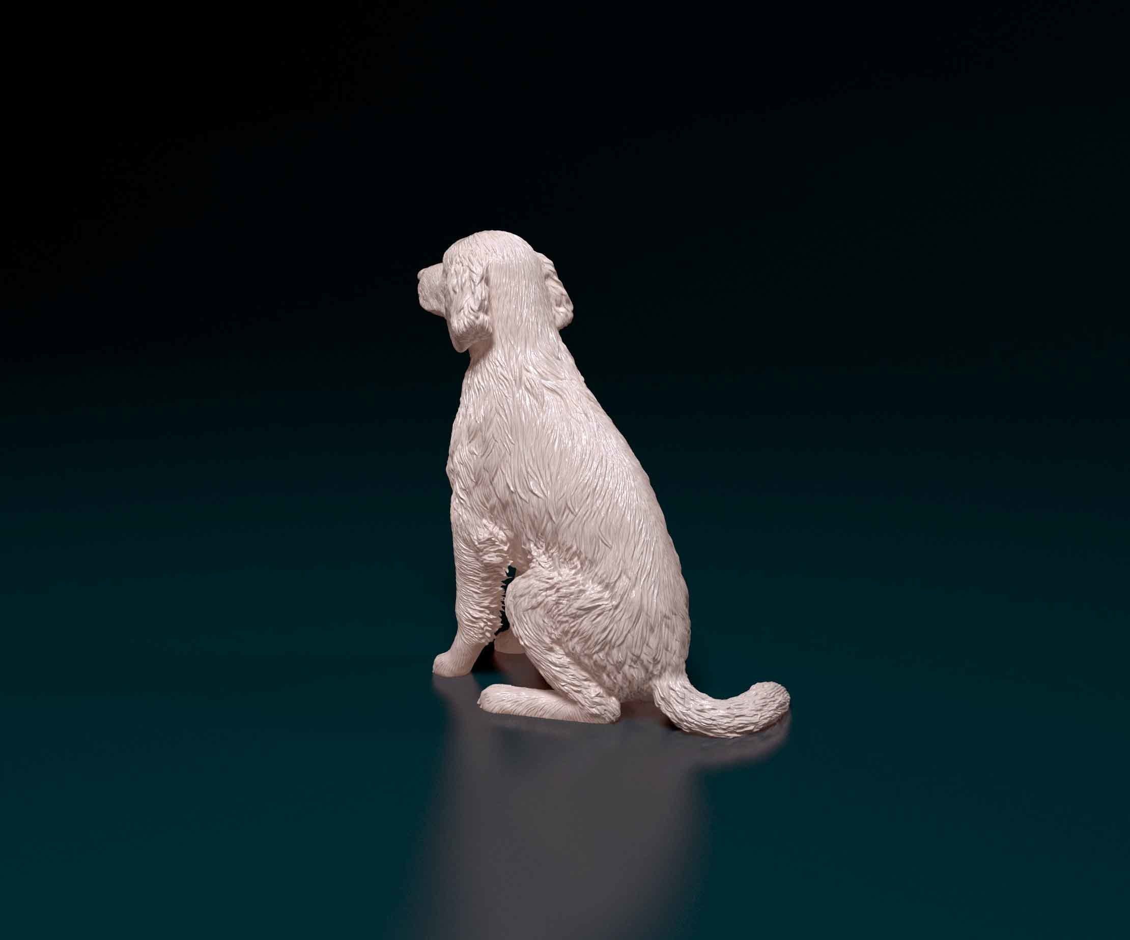 Welsh Springer spaniel 3D print model_3