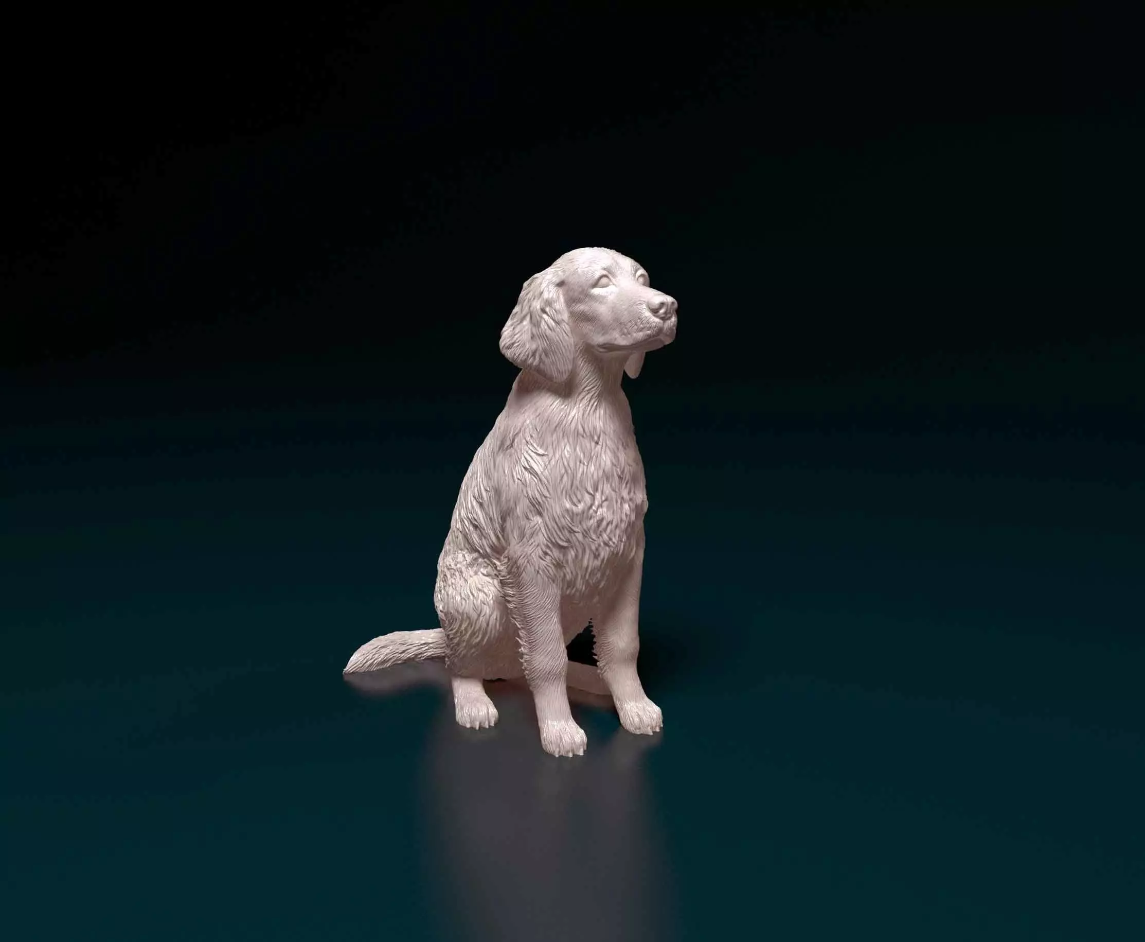Welsh Springer spaniel 3D print model_0