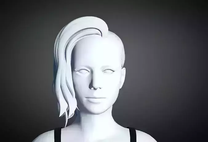 3D Hair style for Female 13 3D model