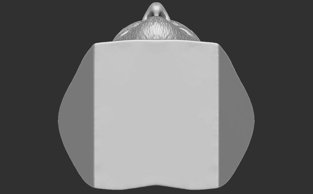 Harry Kane bust for 3D printing 3D print model_29