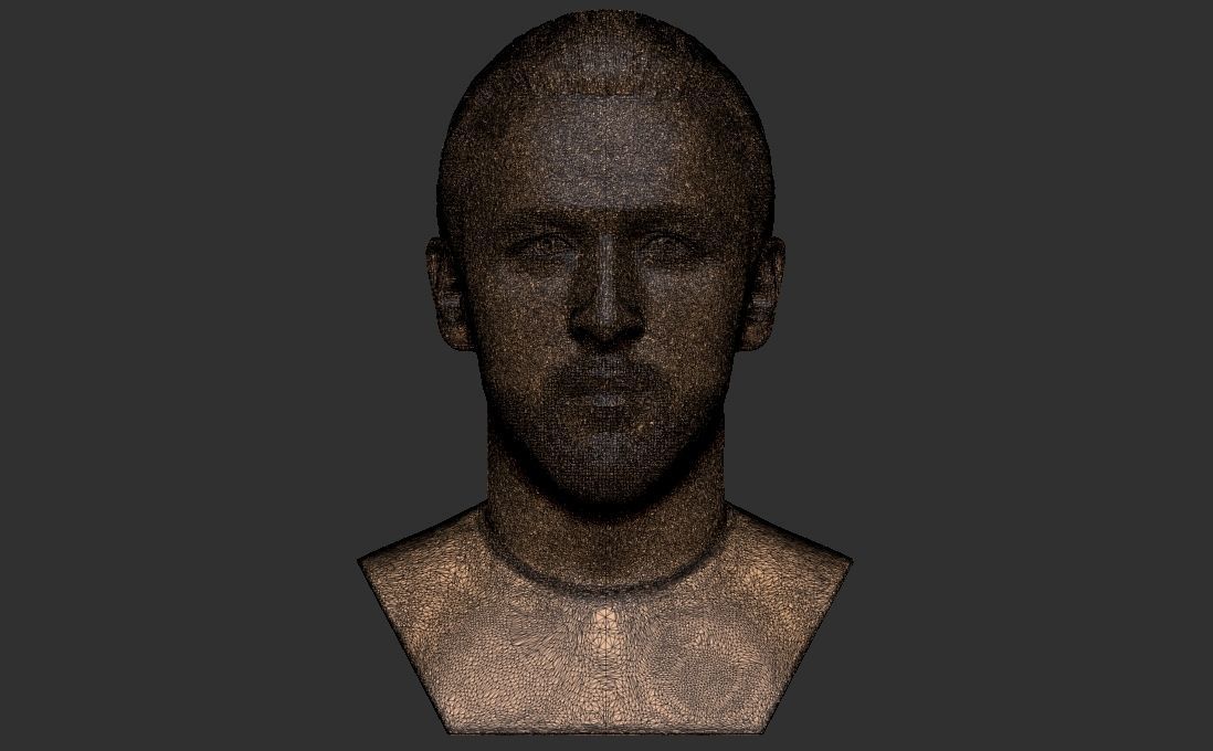 Harry Kane bust for 3D printing 3D print model_30