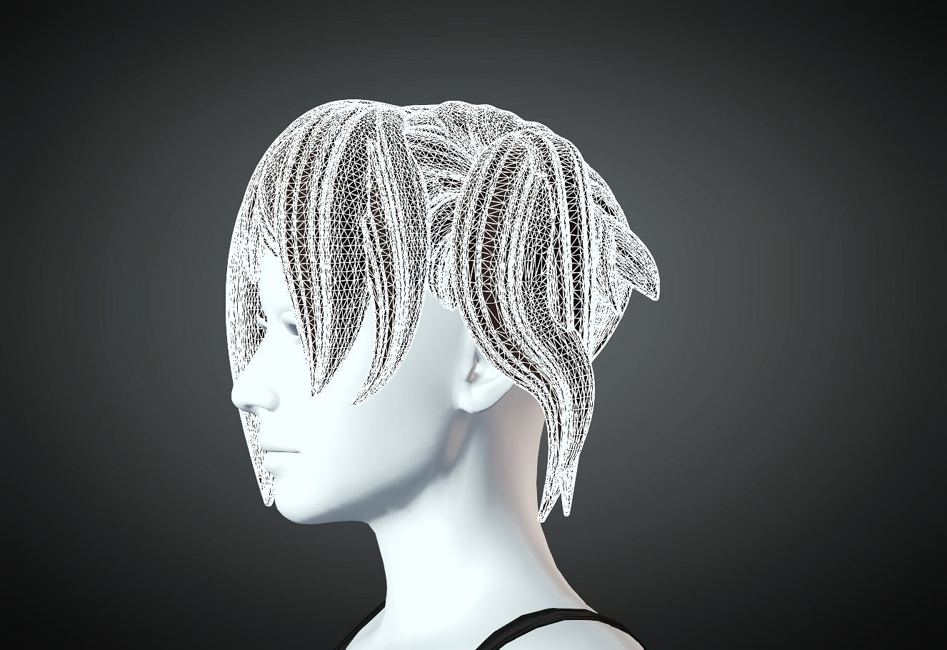 3D Hair style for Female 14 3D model 3D print model_5