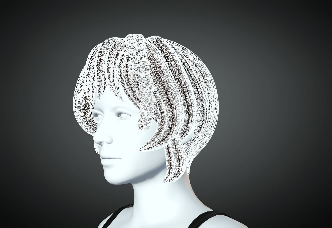 3D Hair style for Female 15 3D model 3D print model_5