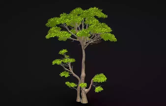 green Tree 3D model