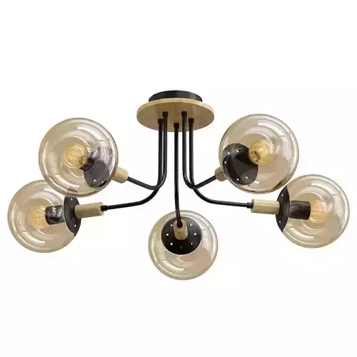 wedo-light-alisiya-66162-01-14-05 ceiling light with five glass globes