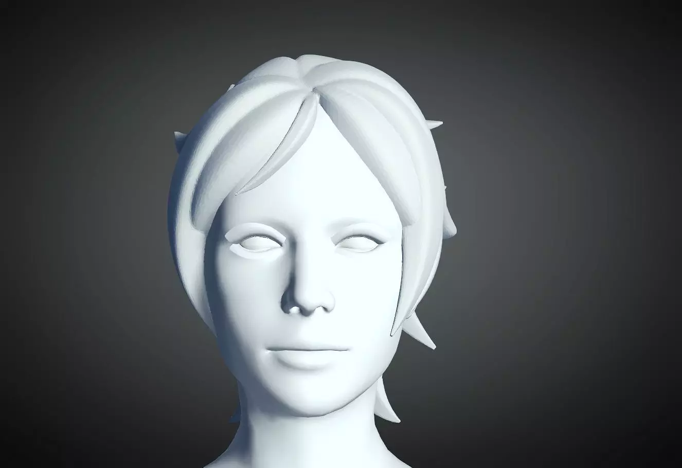 3D Hair style for Female 19 3D model 3D print model_0