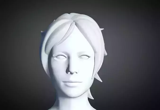 3D Hair style for Female 19 3D model