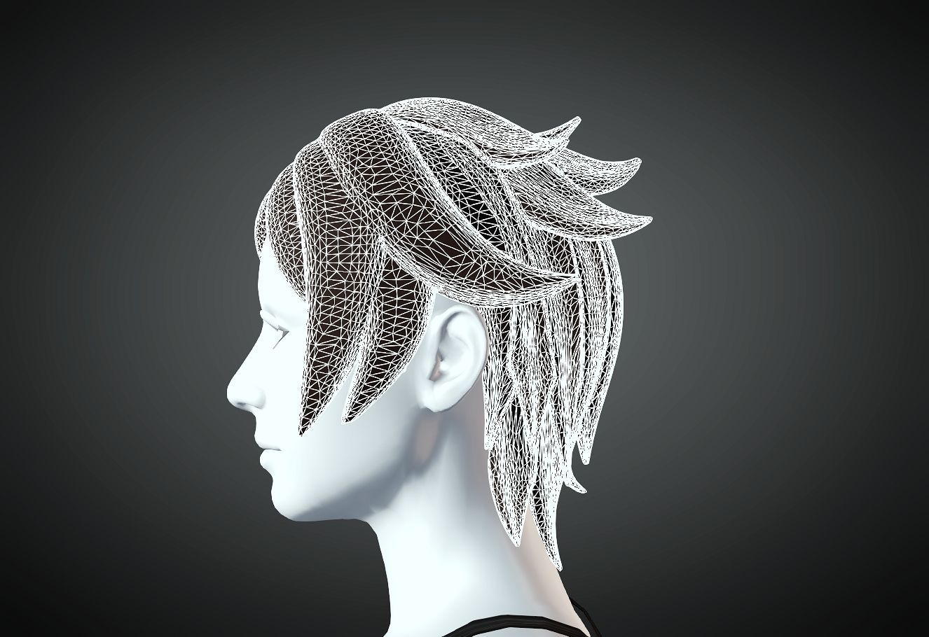 3D Hair style for Female 19 3D model 3D print model_5