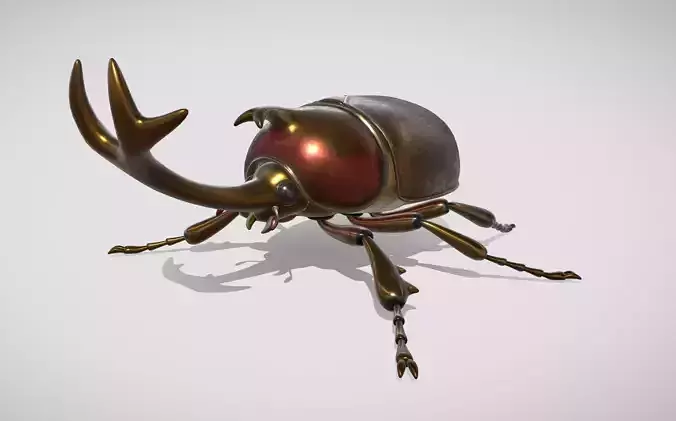 beetle 3D model