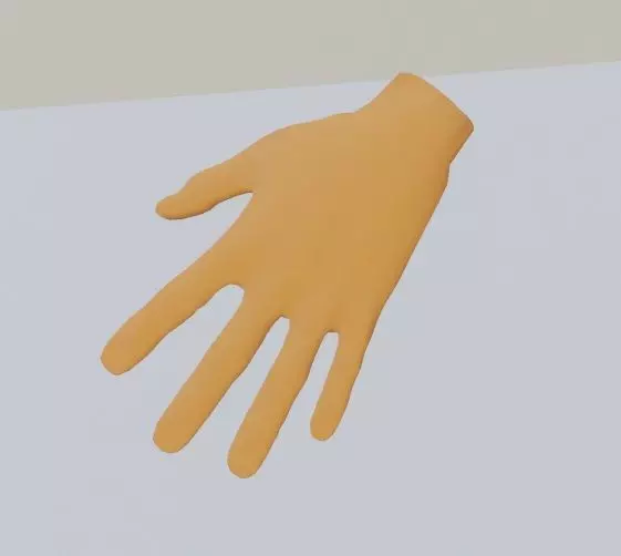 MAIN HUMAIN 3D model_0