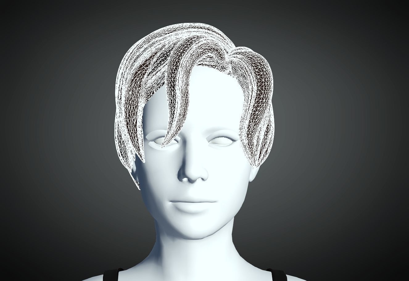 3D Hair style for Female 22 3D model 3D print model_4
