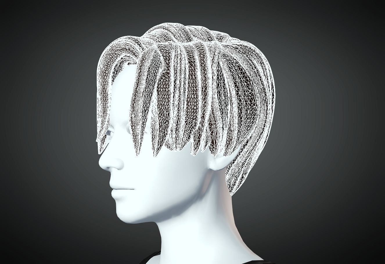 3D Hair style for Female 22 3D model 3D print model_5