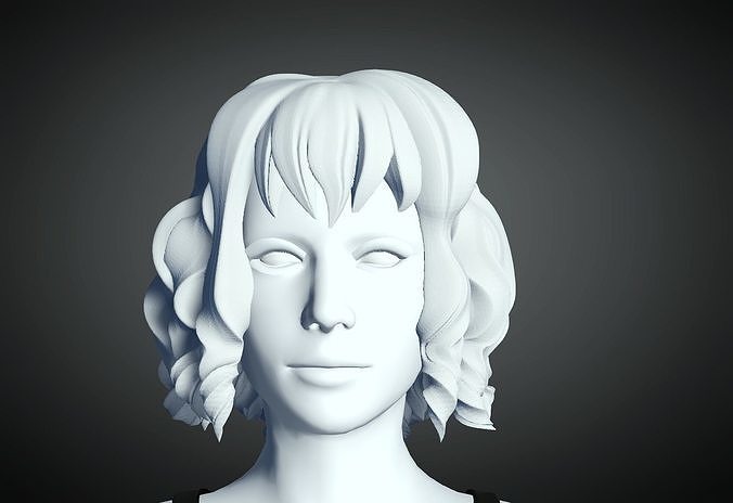 3D Hair style for Female 23 3D model 3D print model