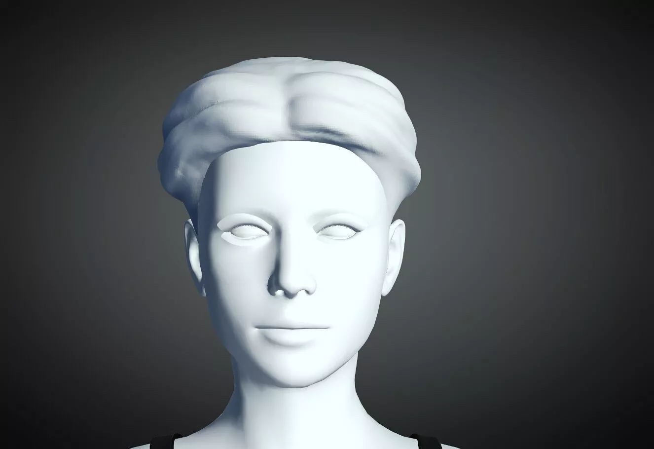 3D Hair style for Female 24 3D model 3D print model