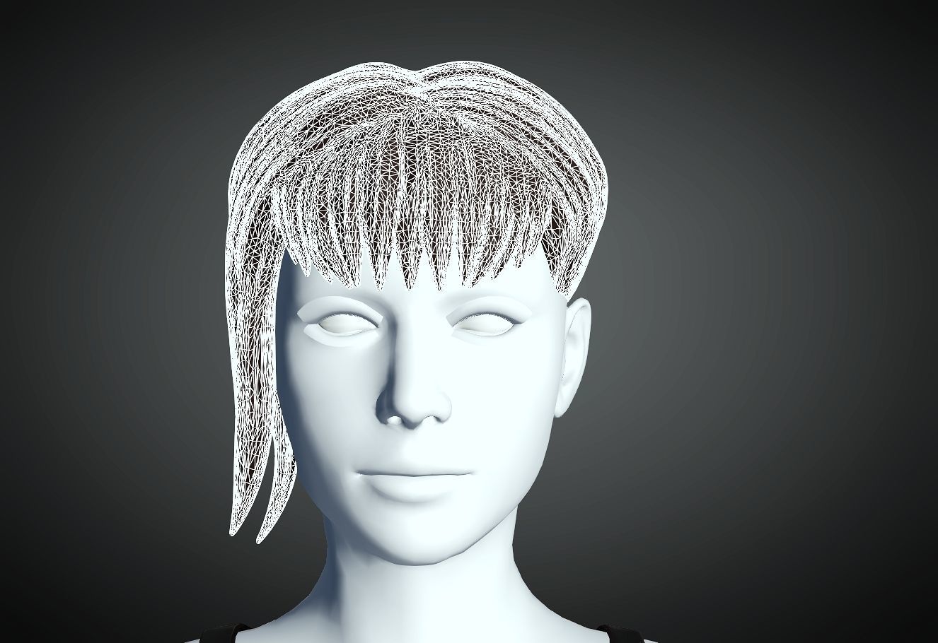 3D Hair style for Female 27 3D model 3D print model_4