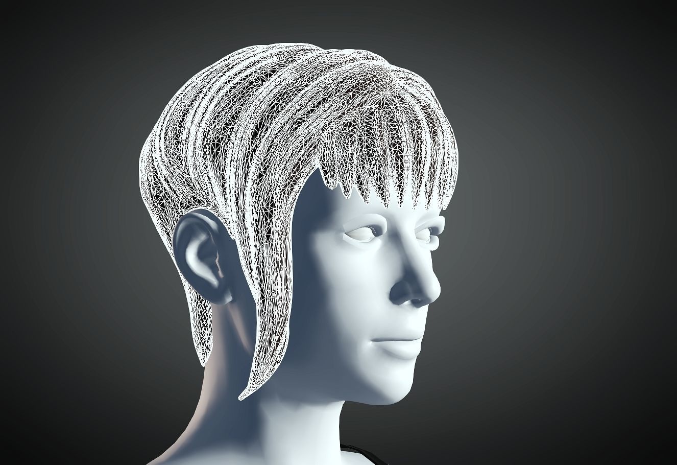 3D Hair style for Female 27 3D model 3D print model_5