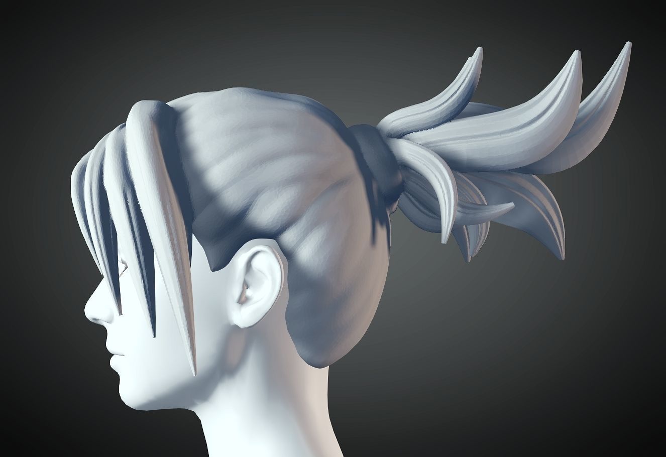 3D Hair style for Female 28 3D model 3D print model_1