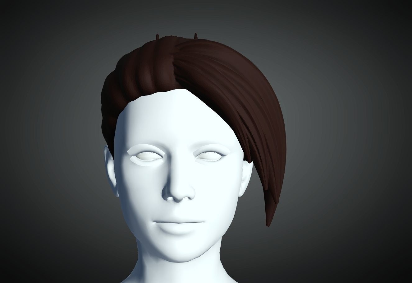 3D Hair style for Female 28 3D model 3D print model_3