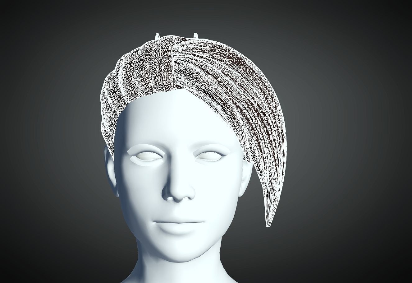 3D Hair style for Female 28 3D model 3D print model_4