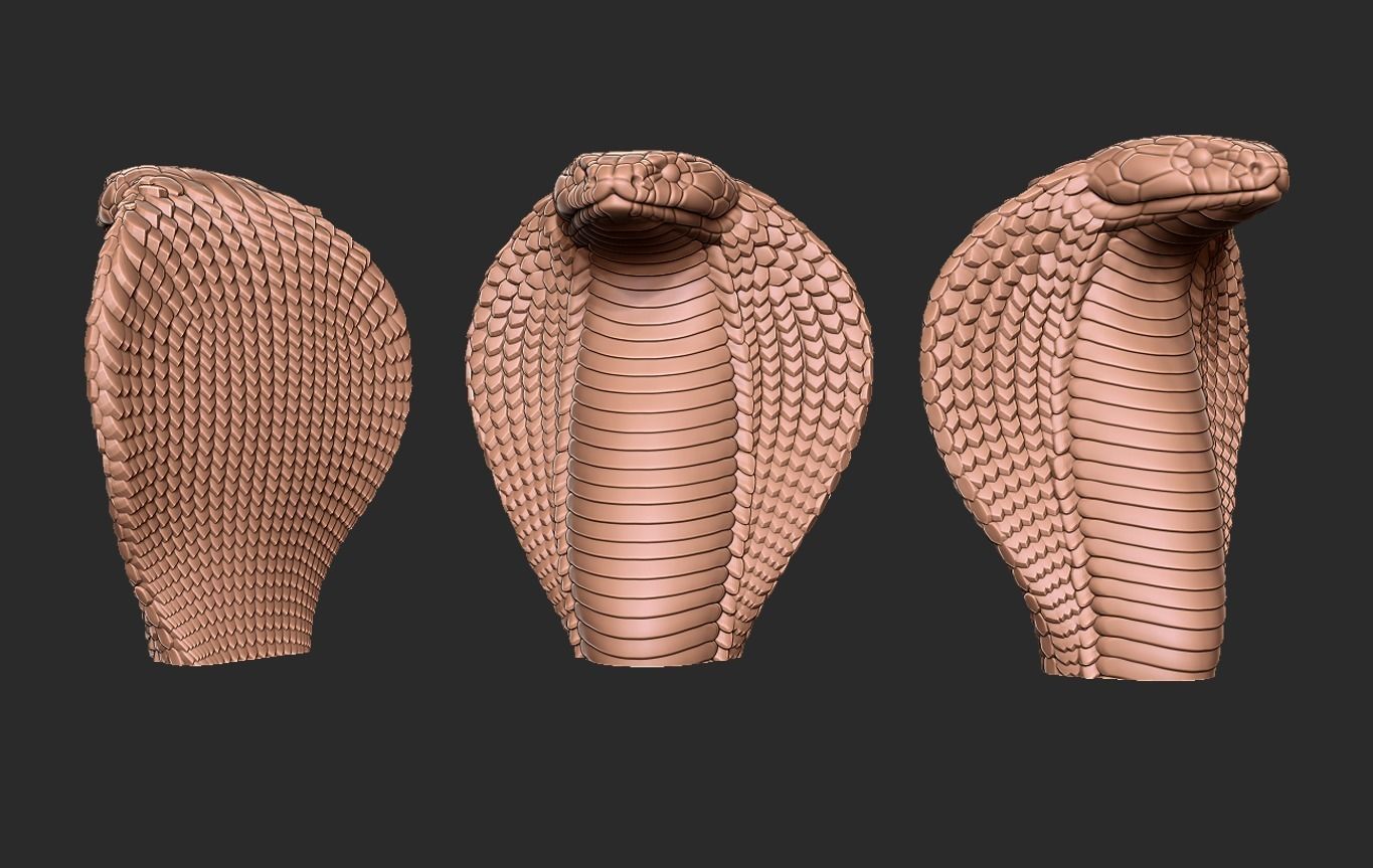 Cobra three gold snakes 3D print model_1
