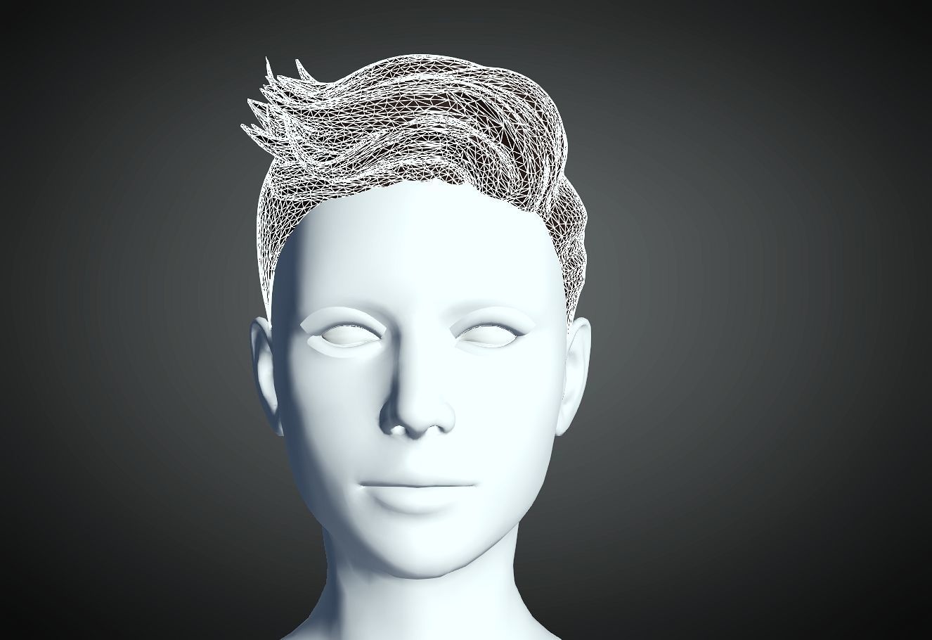 3D Hair style for Female 30 3D model 3D print model_4