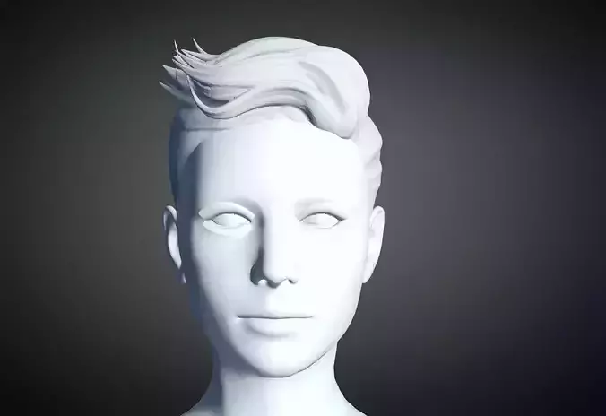 3D Hair style for Female 30 3D model