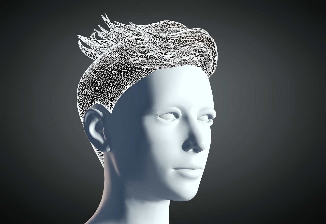 3D Hair style for Female 30 3D model 3D print model_5