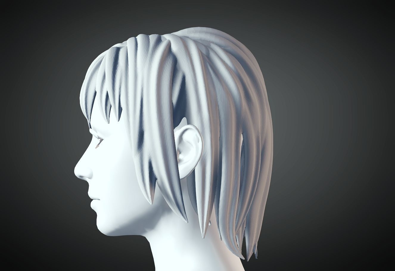 3D Hair style for Female 31 3D model 3D print model_1