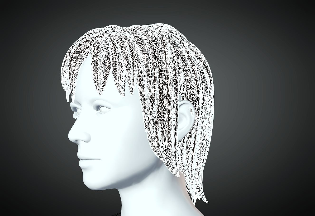 3D Hair style for Female 31 3D model 3D print model_5