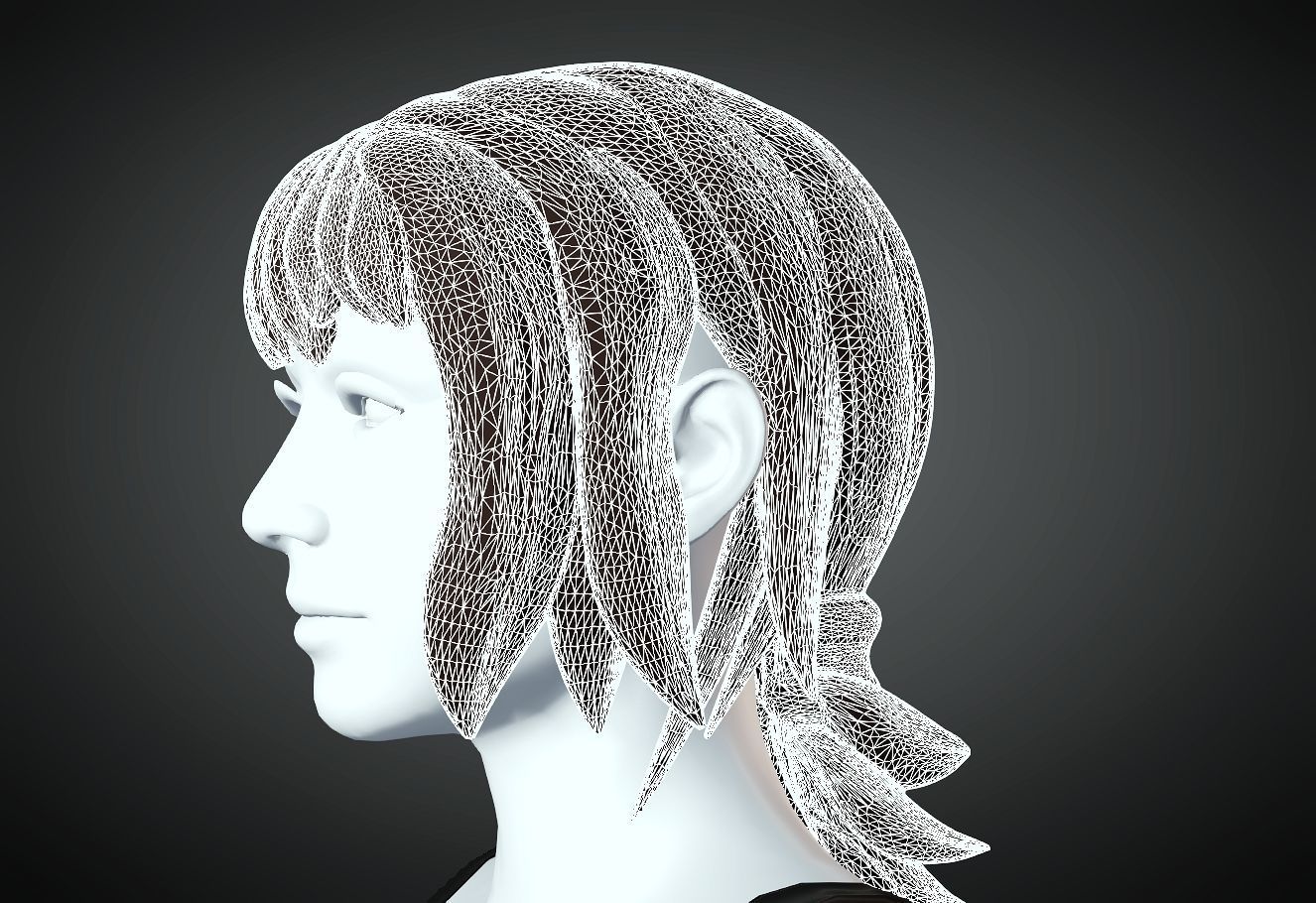 3D Hair style for Female 32 3D model 3D print model_5