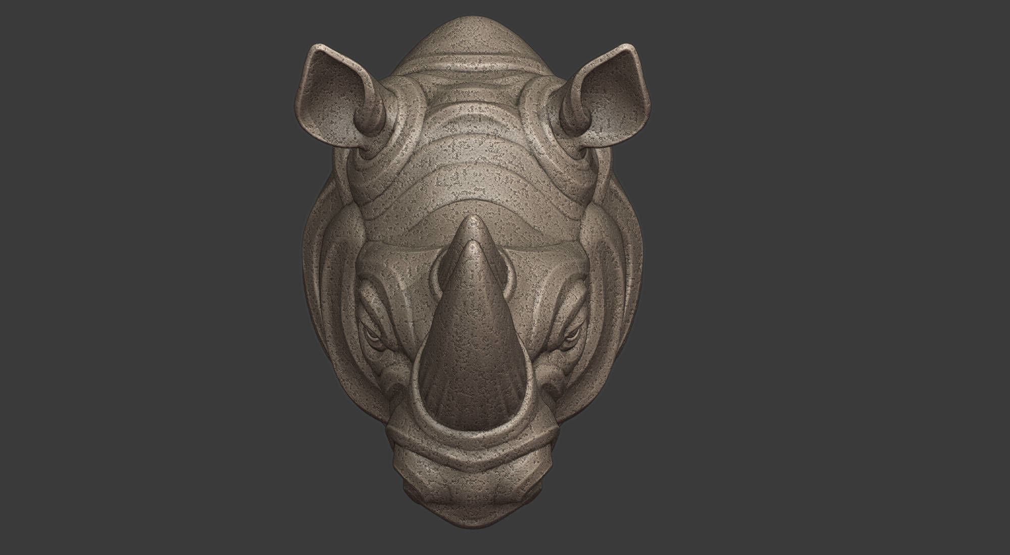 Rinocerus 3D print model_2