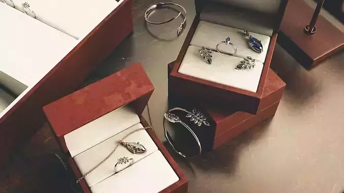 002 jewelry display and jewels