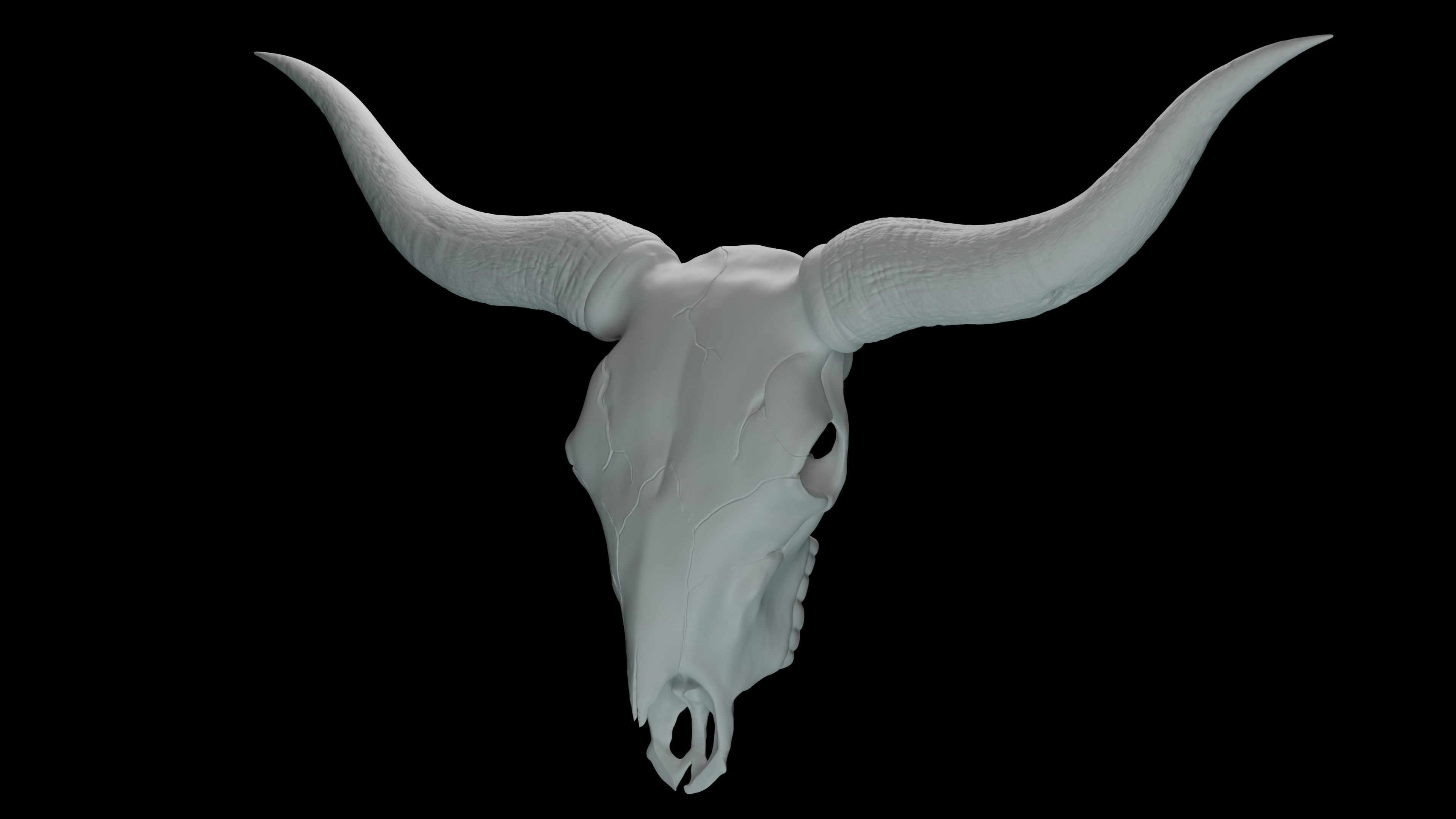 Bull skull 3D print model_1