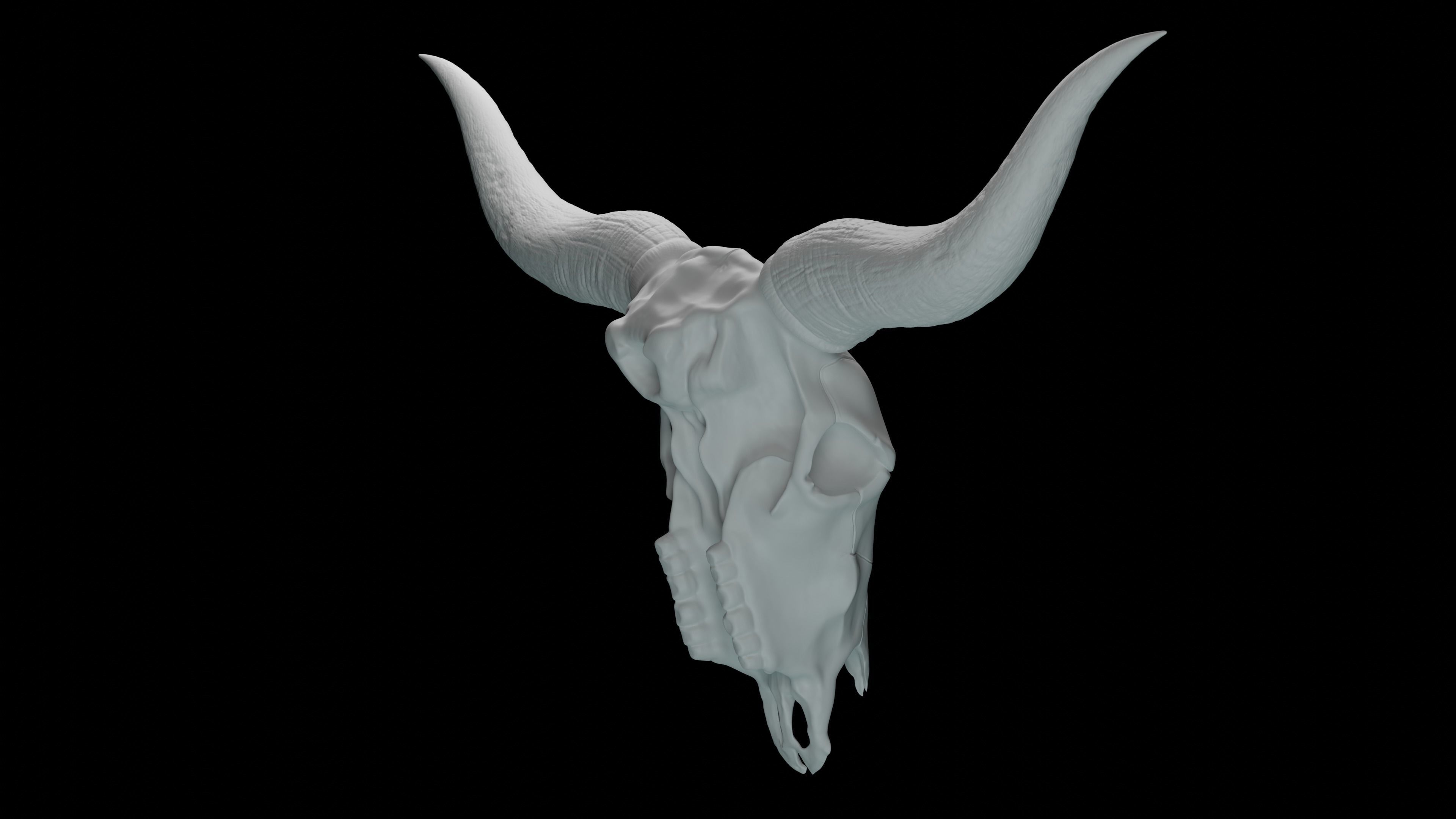 Bull skull 3D print model_4