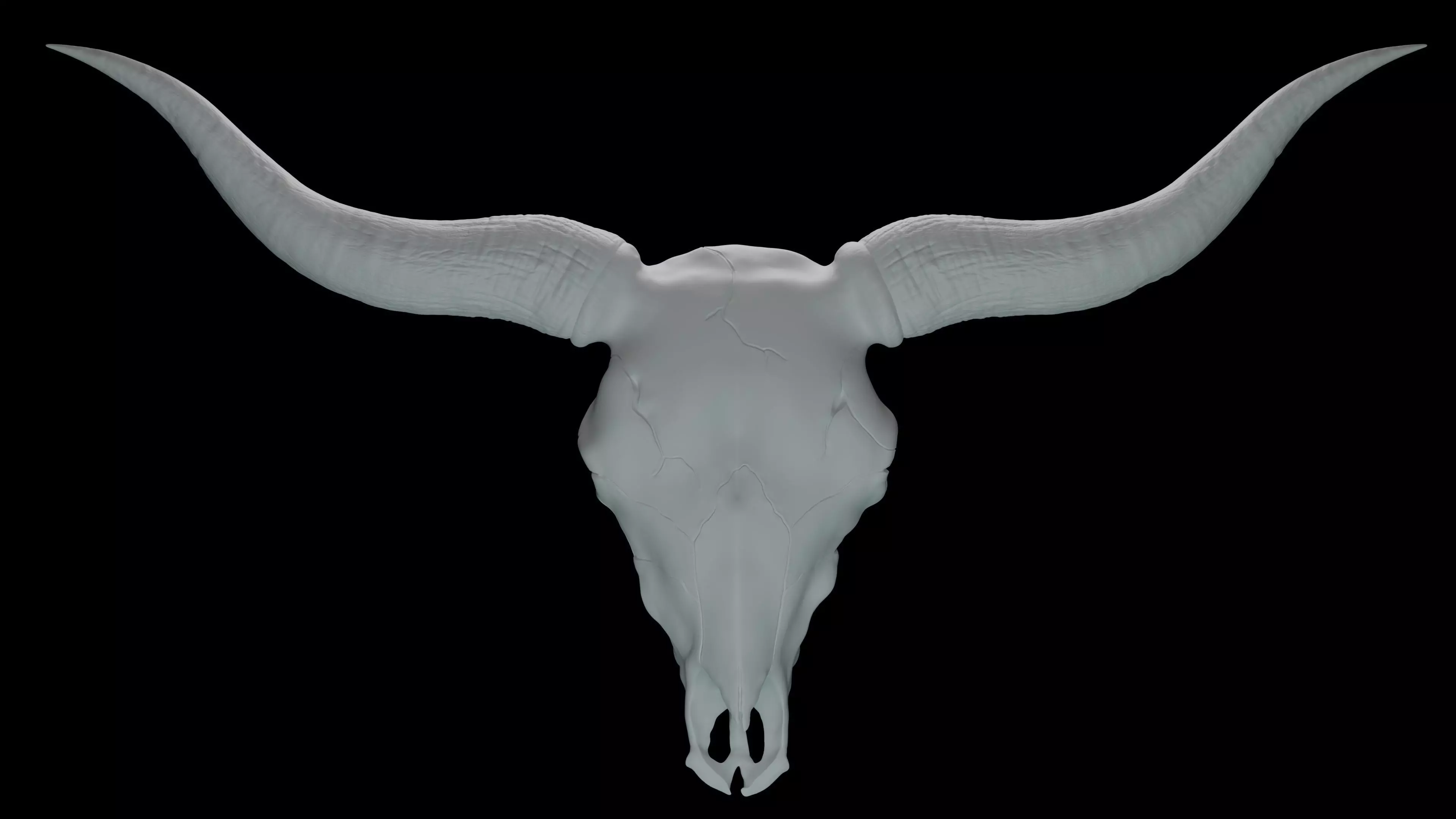 Bull skull 3D print model_0