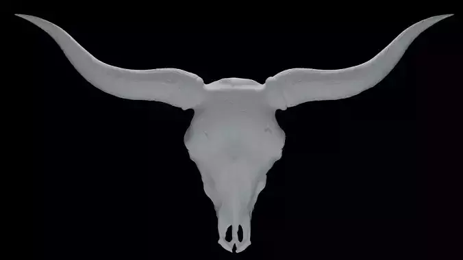 Bull skull 3D print model