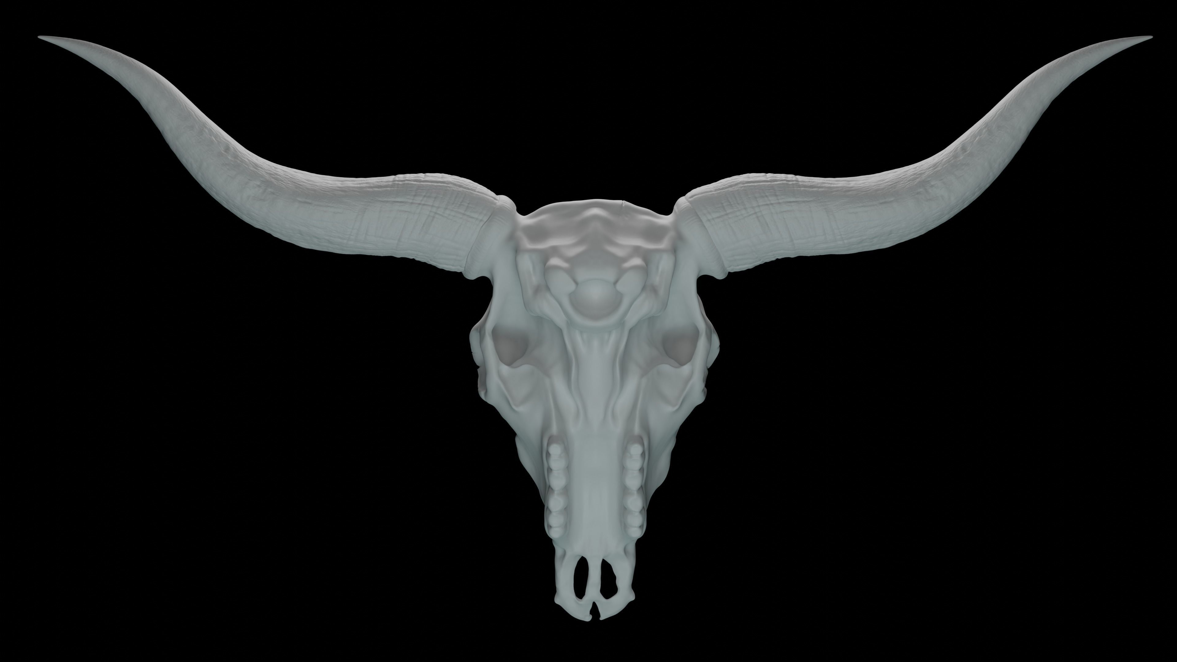 Bull skull 3D print model_3
