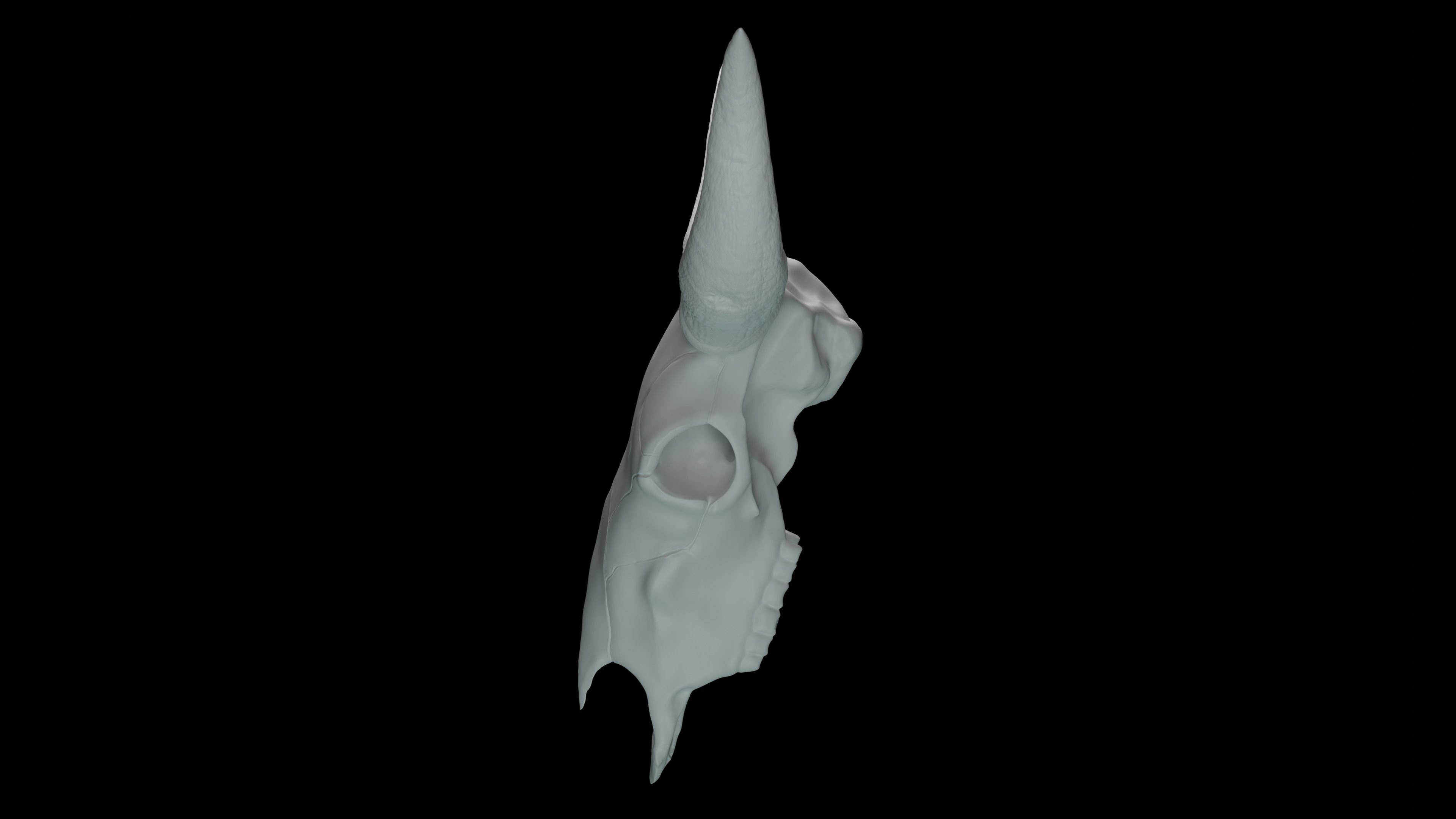 Bull skull 3D print model_2