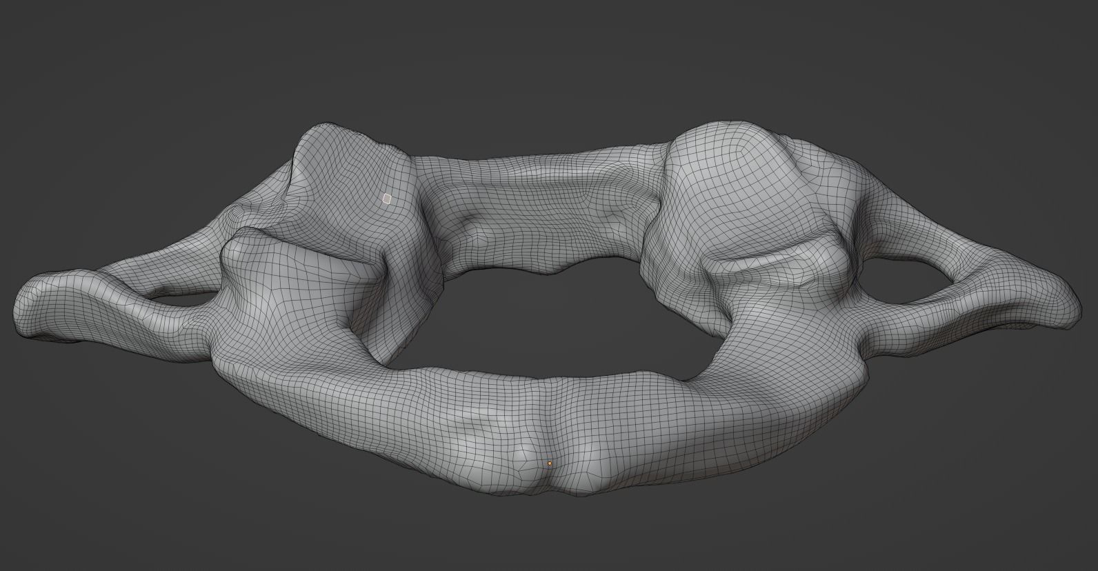 Atlas 1st cervical vertebra 3D model Low-poly 3D model_14