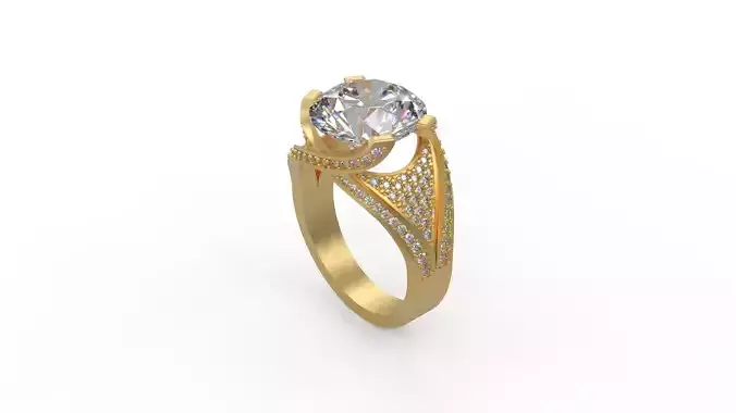 Ring 003