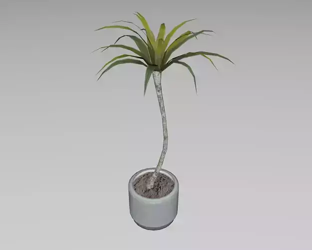 Indoor plant vase handmade-pottery plant tree pot