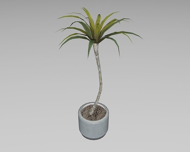 Indoor plant vase handmade-pottery plant tree pot Low-poly 3D model