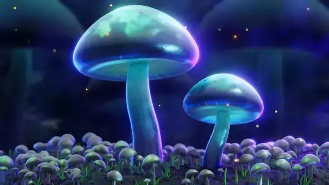 Magical Mushrooms