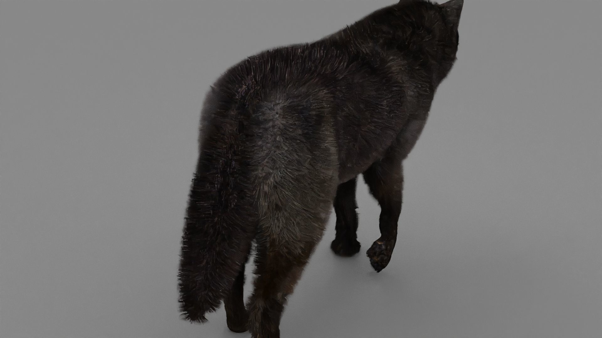 WOLF rigged character 3D model_7