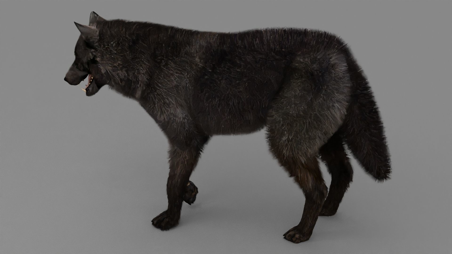 WOLF rigged character 3D model_4