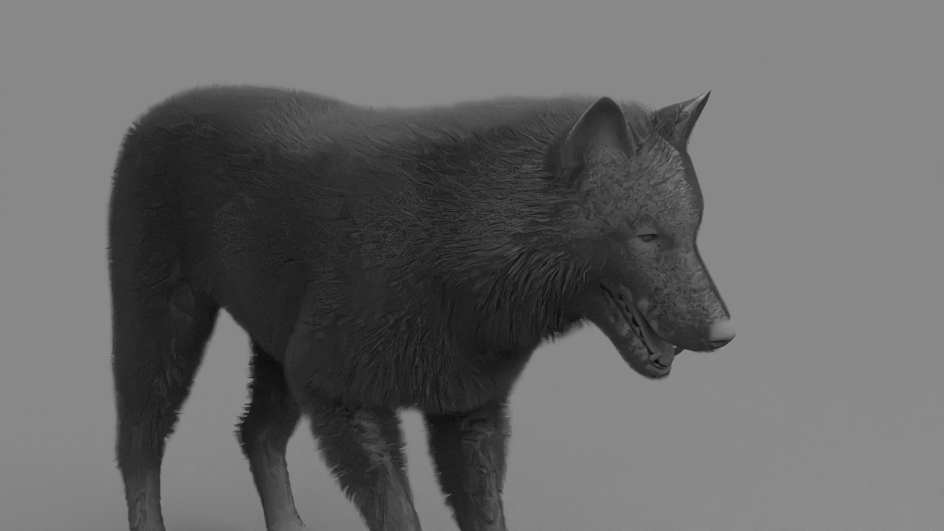 WOLF rigged character 3D model_21